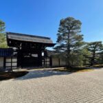 Kyoto: Highlights of Arashiyama in 2 hours - Guided tour - Walking Through Bamboo: The Forest’s Magic and Practicalities