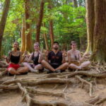 Kyoto: Hike and Hot Springs in Kurama - Authentic Moments & Reviews