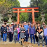 Kyoto: Historical Nara & Kyoto Bus Tour - What Makes This Tour Stand Out?