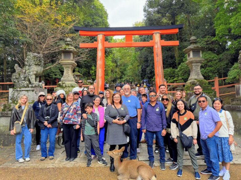 Kyoto: Historical Nara & Kyoto Bus Tour - What Makes This Tour Stand Out?