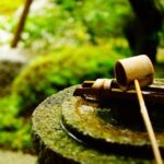 Kyoto : Immersive Arashiyama and Fushimi Inari by Private Vehicle - Detailed Breakdown of the Itinerary