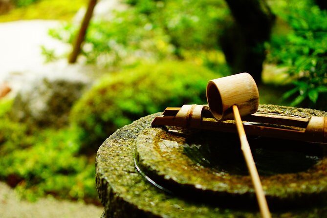 Kyoto : Immersive Arashiyama and Fushimi Inari by Private Vehicle - Detailed Breakdown of the Itinerary