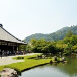 Kyoto: Immersive Arashiyama & Fushimi Inari by Private Car - Who Is This Tour Best For?