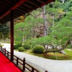 Kyoto: Japanese Gardens Private Customizable Tour - Final Thoughts