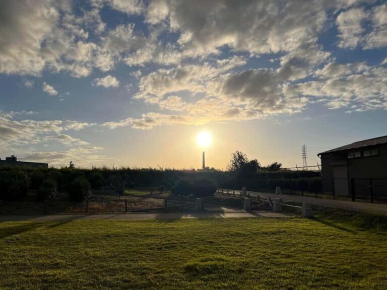 Kyoto: Japanese Zen Calligraphy Workshop - Practicalities and Value