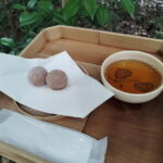 Kyoto: Kamigamo and Shimogamo Shrines Guided Tour 3h - Cost & Value