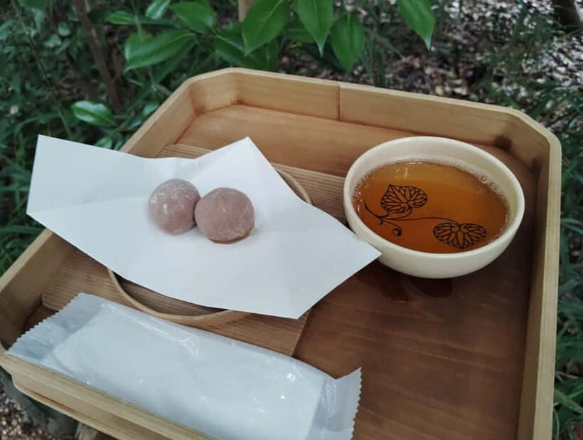 Kyoto: Kamigamo and Shimogamo Shrines Guided Tour 3h - Cost & Value