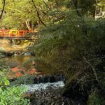 Kyoto: Kifune Shrine and the Sacred Kifune Valley Day Trip - Final Thoughts: Who Will Love This Tour?