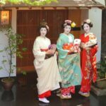 Kyoto Kiyomizudera Temple : Maiko Strolling plan - Who Would Enjoy This Tour?
