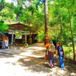 Kyoto: Kurama Temple and Mountain Legends Guided Hike - The Sum Up