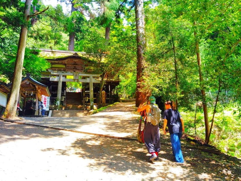 Kyoto: Kurama Temple and Mountain Legends Guided Hike - The Sum Up