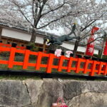 Kyoto: Kyoto Flexible Private Tour By Fluent English Driver - The Value of a Private Tour