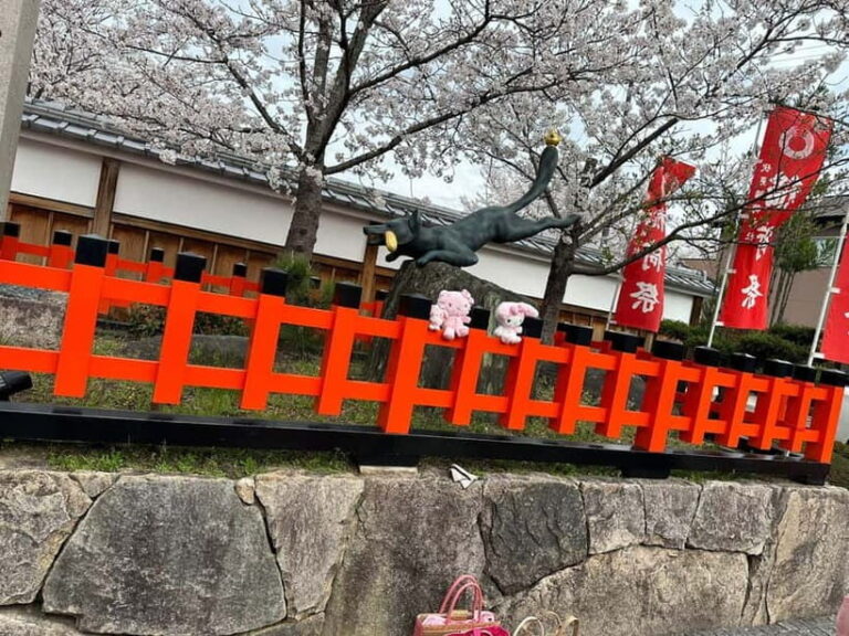 Kyoto: Kyoto Flexible Private Tour By Fluent English Driver - The Value of a Private Tour