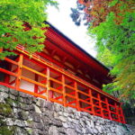 Kyoto: Mount Hiei Guided Tour  Mother of Japanese Buddhism - The Practicalities: What to Expect and Consider