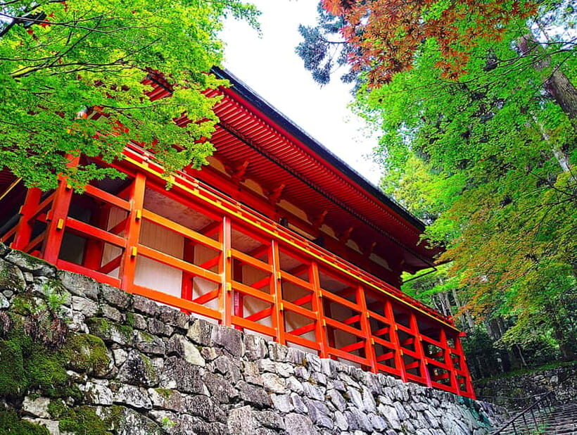 Kyoto: Mount Hiei Guided Tour  Mother of Japanese Buddhism - The Practicalities: What to Expect and Consider