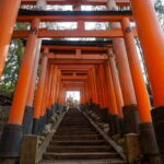 Kyoto & Nara: Day Trip Highlights Tour with a Private Car - The Sum Up