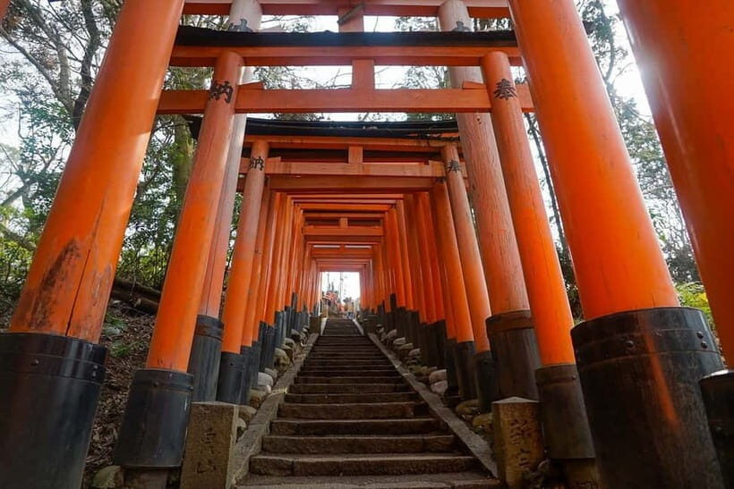 Kyoto & Nara: Day Trip Highlights Tour with a Private Car - The Sum Up