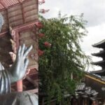 KYOTO-NARA: Giant Buddha Deer Pagoda "Geisya" (Italian, full day) - Transportation and Logistics