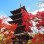 Kyoto: Ninnaji Temple Entry Ticket - Authentic, Peaceful, and Educational: Who Will Enjoy This?