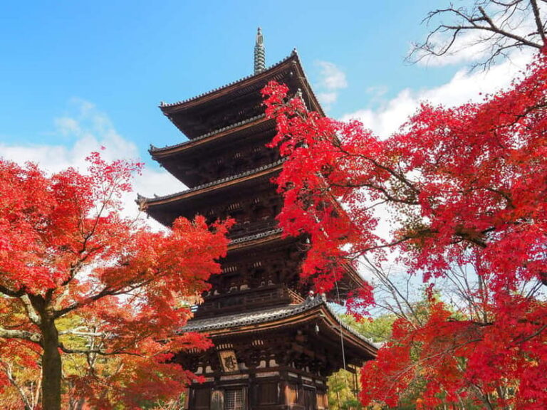 Kyoto: Ninnaji Temple Entry Ticket - Authentic, Peaceful, and Educational: Who Will Enjoy This?