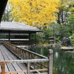 Kyoto: Nishi Honganji, Higashi Honganji, and Ginkakuji Tour - Nishi Honganji — A UNESCO World Heritage Site and Architectural Marvel