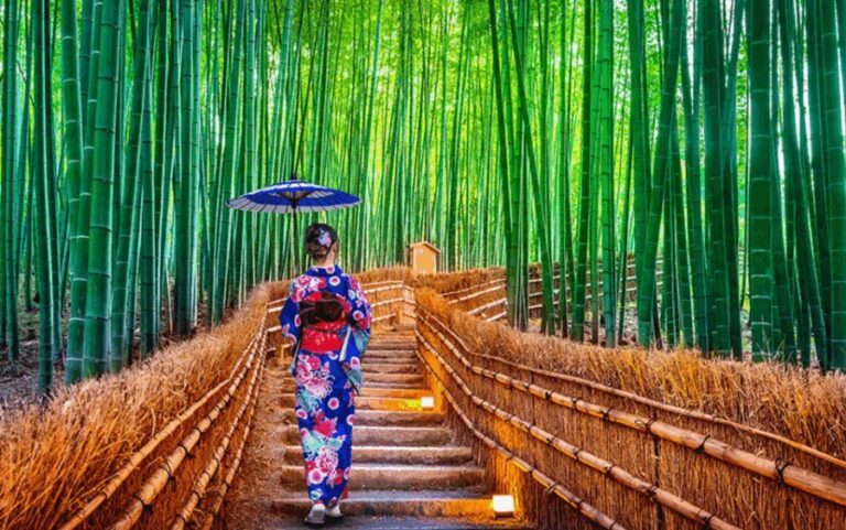 Kyoto/Osaka: Kyoto and Nara Customizable Guided Day Trip - Exploring the Kyoto and Nara Experience in Depth