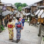 Kyoto, Osaka, Nara Full Day tour by Car English speaking Driver - The Sum Up: Is It Worth It?