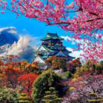 Kyoto/Osaka/Nara Private Customized Tour with Guide - Who Is This Tour Best For?