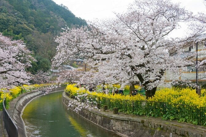 Kyoto Osaka to Lake Biwa Private Day Tour - Who Will Love This Tour?