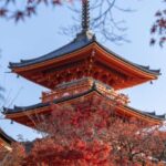 Kyoto: Personalized Guided Private Tour - Why This Tour Is a Great Value