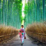 Kyoto: Private Customizable Day Tour with Guide and Vehicle - Who Will Love This Tour?