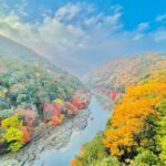 Kyoto: Private Customizable Guided tour with Luxury Vehicle - An In-Depth Look at the Experience