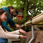 Kyoto: Private Customized Walking Tour with a Local Insider - Why This Tour Stands Out