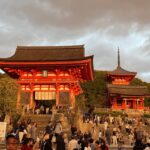 Kyoto: Private Highlights Tour with Guide and Luxury Vehicle - Who Would Love This Tour?