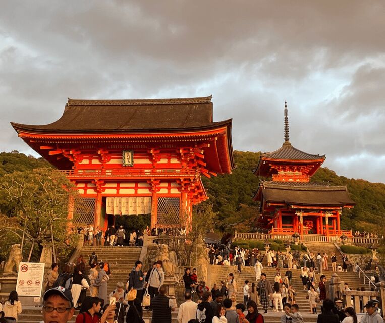 Kyoto: Private Highlights Tour with Guide and Luxury Vehicle - Who Would Love This Tour?