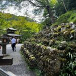 Kyoto: Private tour, Arashiyama, Bamboo Forests and Sacred Temples - Why This Tour Offers Value and Authenticity