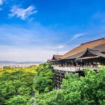 Kyoto: Private Tour with Licensed Guide & Vehicle - Who Should Consider This Tour?