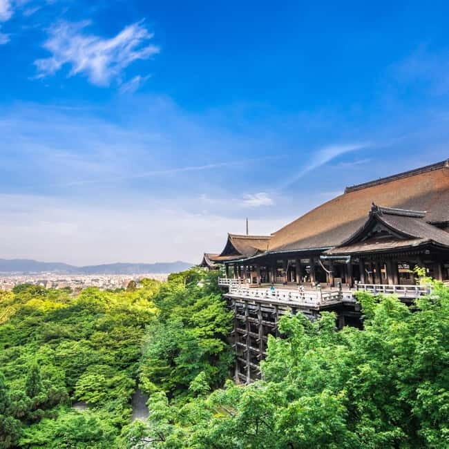 Kyoto: Private Tour with Licensed Guide & Vehicle - Who Should Consider This Tour?