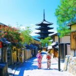 Kyoto Private Tour with National Licensed Guide - Who Should Consider This Tour?