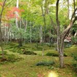 Kyoto: Quiet Arashiyama and Sagano Temples Guided Tour - Who Should Sign Up?