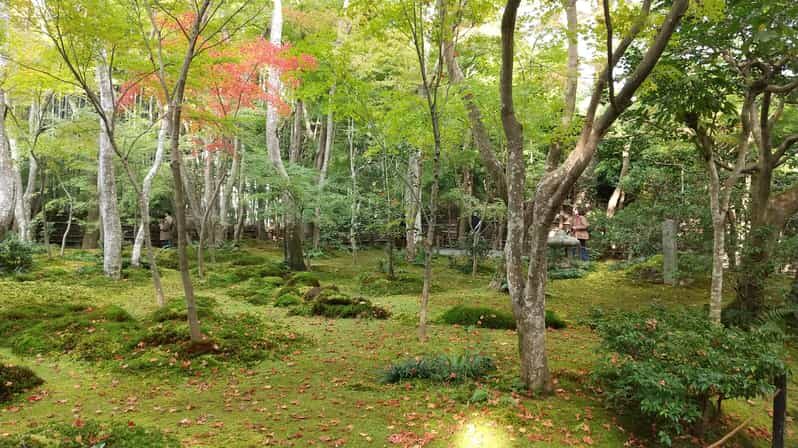 Kyoto: Quiet Arashiyama and Sagano Temples Guided Tour - Who Should Sign Up?