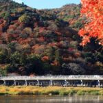Kyoto Sagano Bamboo Grove & Arashiyama Walking Tour - A Deep Dive into Kyoto’s Sagano and Arashiyama Sights