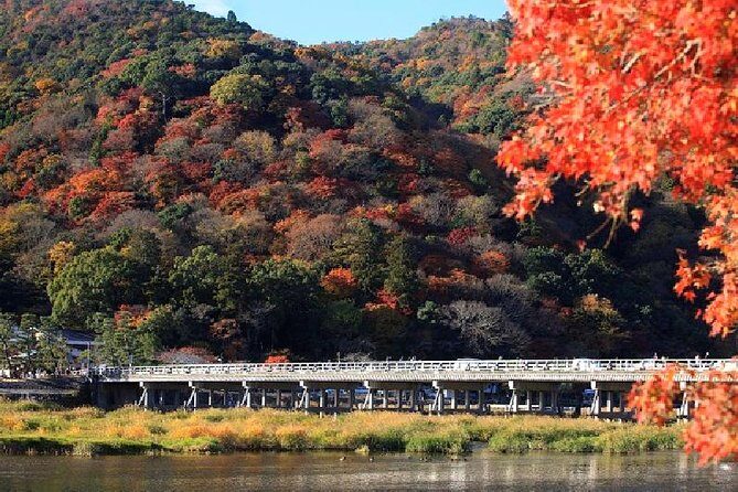 Kyoto Sagano Bamboo Grove & Arashiyama Walking Tour - A Deep Dive into Kyoto’s Sagano and Arashiyama Sights