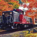 Kyoto: Sagano Romantic Train and Hozugawa River Cruise - Who Will Love This Tour?
