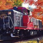 Kyoto Sagano Romantic Train in Arashiyama Bus Tour - Who Will Love This Tour?