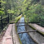 Kyoto Silver Pavilion Private 4-Hour Guided Tour - Practical Tips for Your Visit