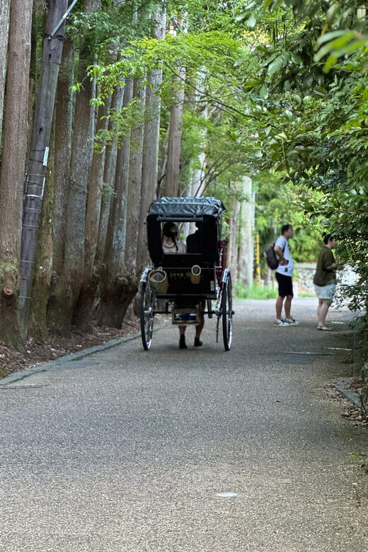 Kyoto: Stroll around the Depths of Arashiyama - An In-Depth Look at the Arashiyama Guided Tour