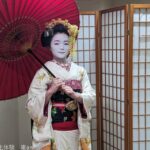 Kyoto: Tea Ceremony with Maiko Premium - A Deep Dive into the Kyoto Maiko Tea Ceremony