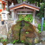 Kyoto: Temple Yoga, Tour of Four Spring Waters & Nourishing Lunch - Who Is This Tour Best Suited For?