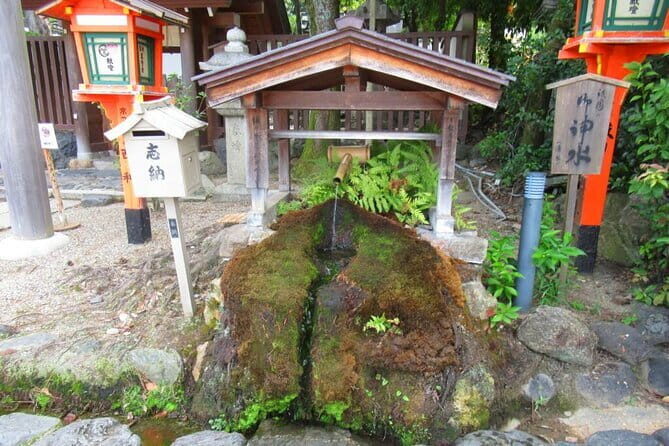 Kyoto: Temple Yoga, Tour of Four Spring Waters & Nourishing Lunch - Who Is This Tour Best Suited For?